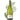 Sauvignon Blanc Cloudy Bay